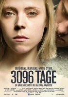 3096 дней смотреть онлайн (2013)